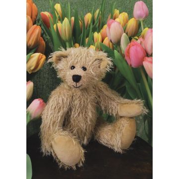 Kit Bubbles ± 23cm