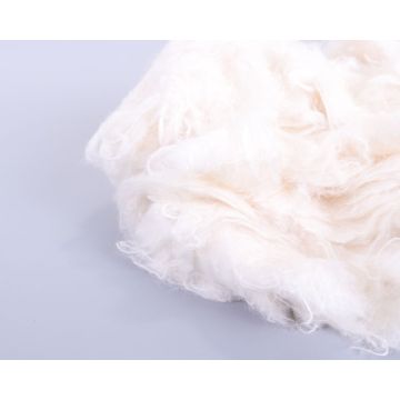 cotton Filling