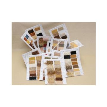 Sample Cards