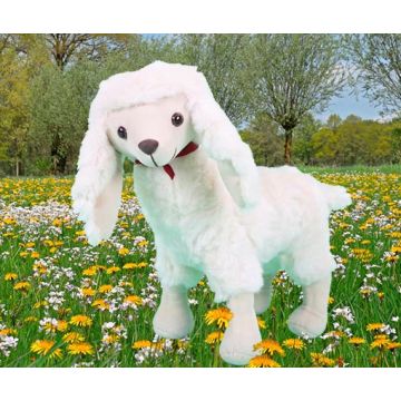 Wolly ± 24 cm sheep